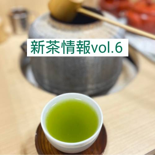 ⭐︎新茶信息2024⭐︎vol.6